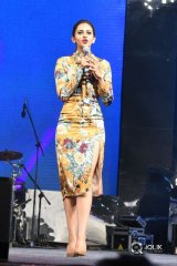 Dhruva Movie Pre Release Function